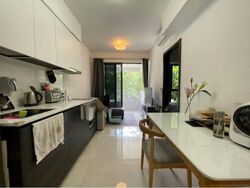 Sims Urban Oasis (D14), Condominium #477547271